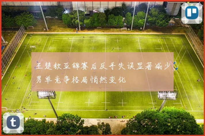 王楚钦亚锦赛后反手失误显著减少男单竞争格局悄然变化
