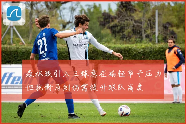 森林狼引入三球意在减轻华子压力但抗衡马刺仍需提升球队高度